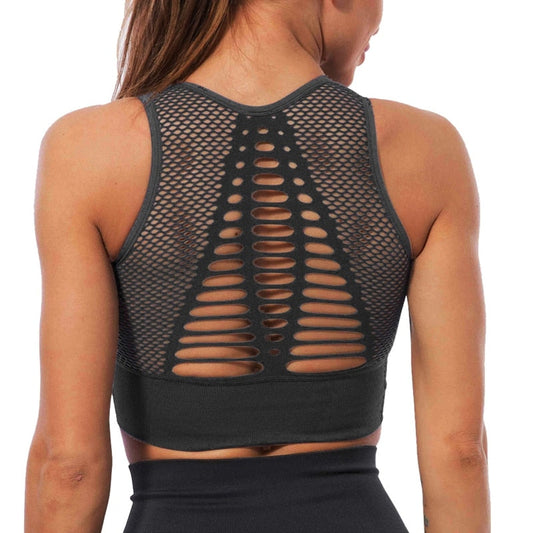 Yoouga Seamless Mesh Sports Bra
